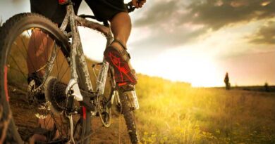 Best Budget Mountain Bike Pedals