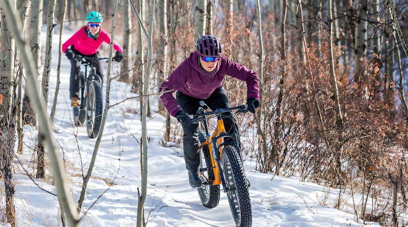 Best Winter Mountain Bike Tires