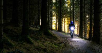 Best Budget Mountain Bike Lights