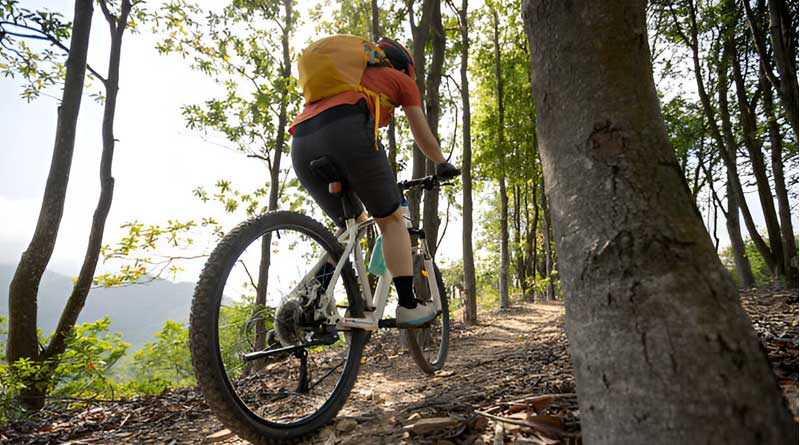 Best Budget Mountain Bike Saddles