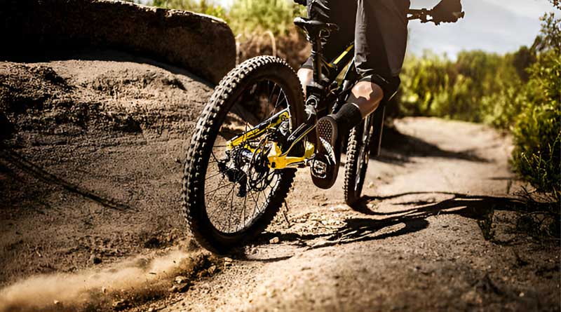 Best Mountain Bike Tires for Heavy Riders