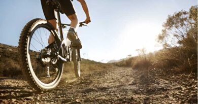 Best Puncture Resistant Road Bike Tires