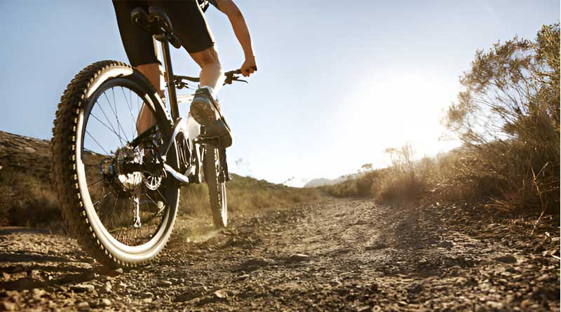 Best Puncture Resistant Road Bike Tires