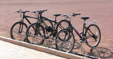 Best Budget Bike Racks