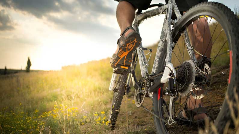 Best Mountain Bike Chain Guides