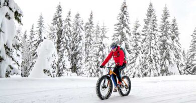 Best Fat Bike Tires for Snow