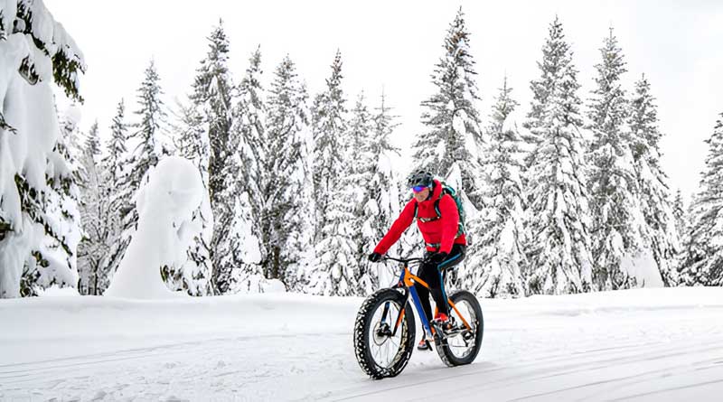 Best Fat Bike Tires for Snow