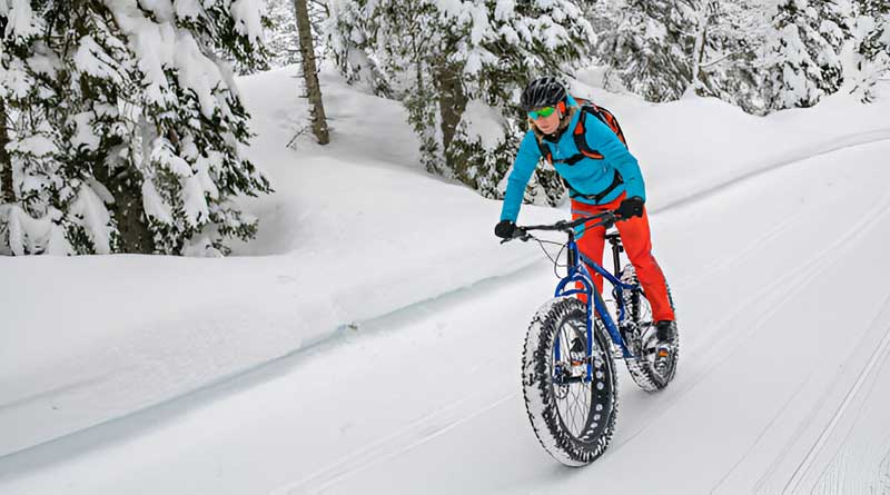 Best Studded Fat Bike Tires