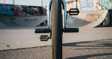 Best BMX Pegs