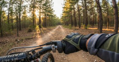 Best Dirt Bike Gloves for Trail Riding