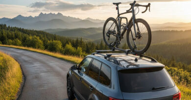 Best Roof Mounted Bike Racks