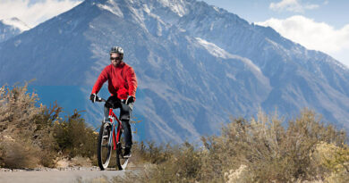 Best Fast Rolling MTB Tires for Road