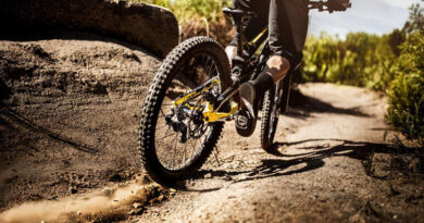Best Mountain Bike Tires for Road and Trail