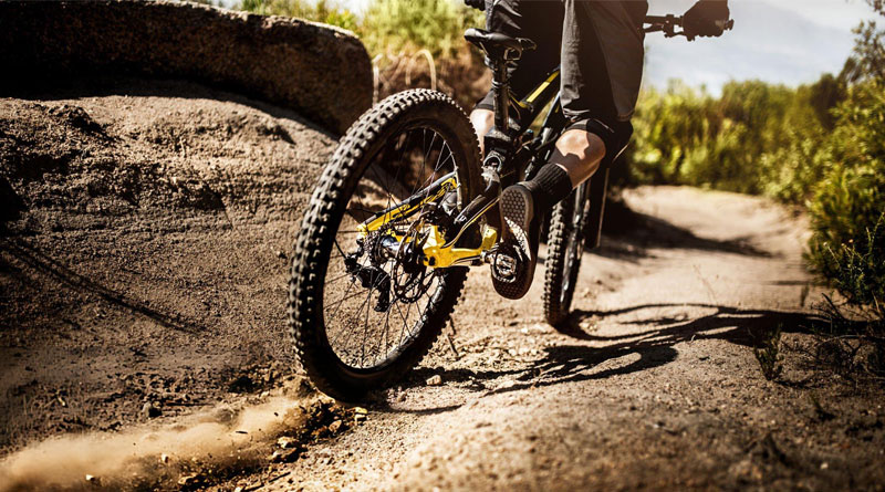 Best Mountain Bike Tires for Road and Trail