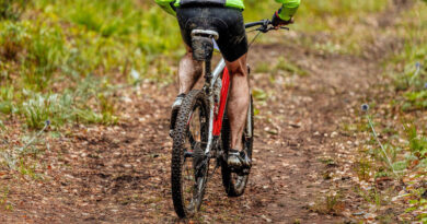 Best Mountain Bikes for Beginners