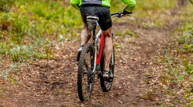 Best Mountain Bikes for Beginners